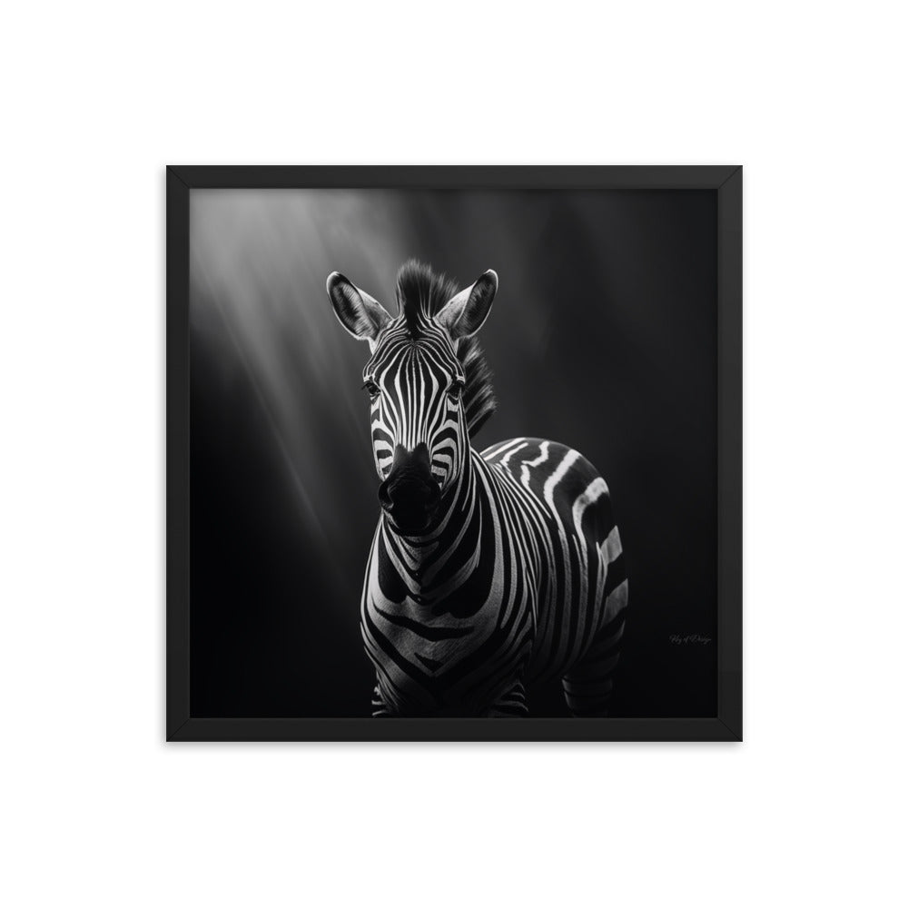 Zebra Horses Background Images, HD Pictures and Wallpaper For Free Download  | Pngtree, image size:1000x1000
