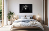 Eyes of the Wild: The Bear's Gaze