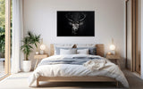 Eyes of the Wild: The Deer's Gaze