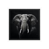 Eyes of the Wild: The Elephant's Gaze