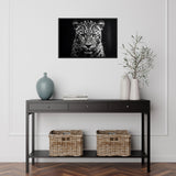 Eyes of the Wild: The Jaguar's Gaze