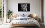 Eyes of the Wild: The Jaguar's Gaze