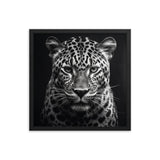 Eyes of the Wild: The Jaguar's Gaze