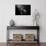 Eyes of the Wild: The Zebra's Gaze