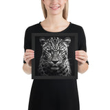 Eyes of the Wild: The Jaguar's Gaze