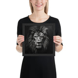 Eyes of the Wild: The Lion's Gaze