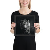 Eyes of the Wild: The Tiger's Gaze