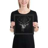 Eyes of the Wild: The Deer's Gaze