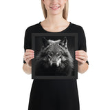 Eyes of the Wild: The Wolf's Gaze
