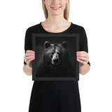 Eyes of the Wild: The Bear's Gaze