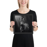 Eyes of the Wild: The Zebra's Gaze