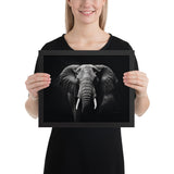 Eyes of the Wild: The Elephant's Gaze