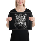 Eyes of the Wild: The Jaguar's Gaze