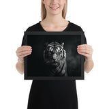 Eyes of the Wild: The Tiger's Gaze