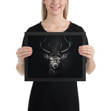 Eyes of the Wild: The Deer's Gaze