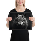 Eyes of the Wild: The Wolf's Gaze