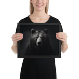 Eyes of the Wild: The Bear's Gaze