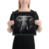 Eyes of the Wild: The Elephant's Gaze