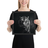 Eyes of the Wild: The Tiger's Gaze
