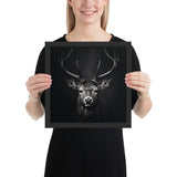 Eyes of the Wild: The Deer's Gaze