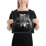 Eyes of the Wild: The Wolf's Gaze