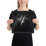 Eyes of the Wild: The Bear's Gaze
