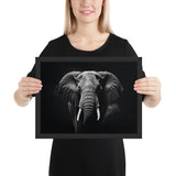Eyes of the Wild: The Elephant's Gaze