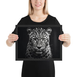 Eyes of the Wild: The Jaguar's Gaze