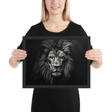 Eyes of the Wild: The Lion's Gaze