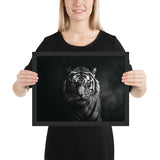 Eyes of the Wild: The Tiger's Gaze
