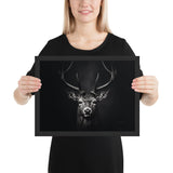 Eyes of the Wild: The Deer's Gaze