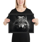 Eyes of the Wild: The Wolf's Gaze
