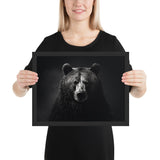 Eyes of the Wild: The Bear's Gaze