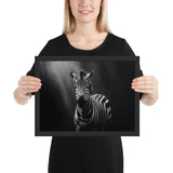 Eyes of the Wild: The Zebra's Gaze