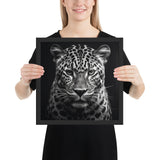 Eyes of the Wild: The Jaguar's Gaze