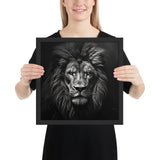 Eyes of the Wild: The Lion's Gaze