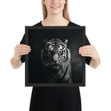 Eyes of the Wild: The Tiger's Gaze