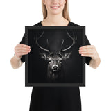 Eyes of the Wild: The Deer's Gaze