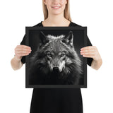 Eyes of the Wild: The Wolf's Gaze