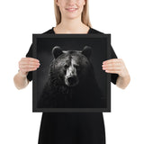 Eyes of the Wild: The Bear's Gaze