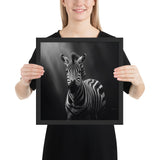 Eyes of the Wild: The Zebra's Gaze