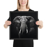 Eyes of the Wild: The Elephant's Gaze