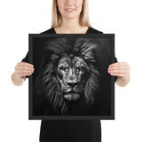 Eyes of the Wild: The Lion's Gaze