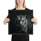 Eyes of the Wild: The Tiger's Gaze