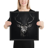 Eyes of the Wild: The Deer's Gaze