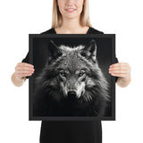 Eyes of the Wild: The Wolf's Gaze