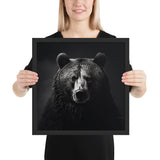 Eyes of the Wild: The Bear's Gaze