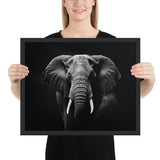 Eyes of the Wild: The Elephant's Gaze