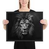 Eyes of the Wild: The Lion's Gaze