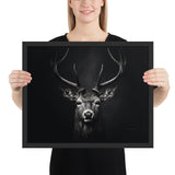 Eyes of the Wild: The Deer's Gaze